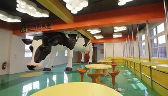 消費轉(zhuǎn)型新引擎 旅游文創(chuàng)如何成為“魔法”般的運動項目經(jīng)營利器